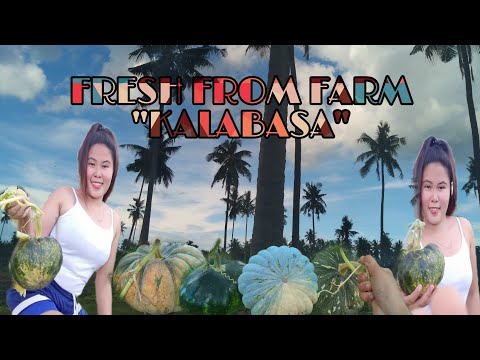 Video: Ang Kagandahan Ay Nasa Mata Ng Nagmamasid: Alena Kravets Sa Maanghang Na Damit Na Panloob Ay Nalulugod Sa Mga Social Network