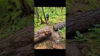 Hiking Sitka Alaska Baranof Island Tongass National Forest