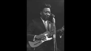 Muddy Waters- Walkin Blues (Live)