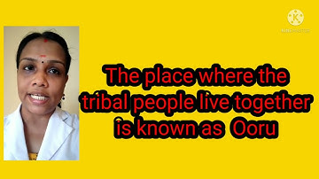 STD 6 Social science chapter 11 Diversity in social life part 1