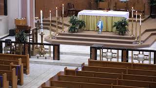 Funeral Mass for Virginia Baumer -  Friday, May 29, 2020 - 10 AM