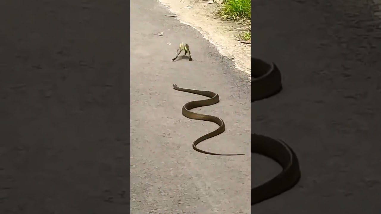 Har Har Shambhu Jay🙏🙏🙏🙏 Mahakal