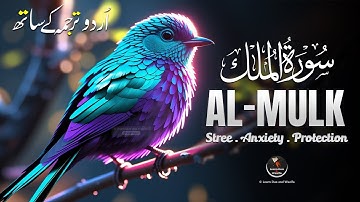 Surah Al-Mulk (سورة الملك) | Relaxing Quranic Verses for Ultimate Spiritual Calm & Divine Protection