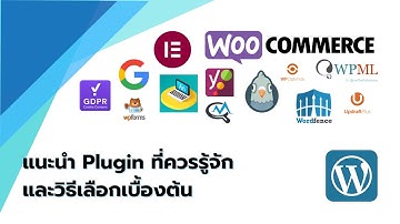 Wordpress - แนะนำ Plugin ที่ควรรู้จักและวิธีเลือกเบื้องต้น