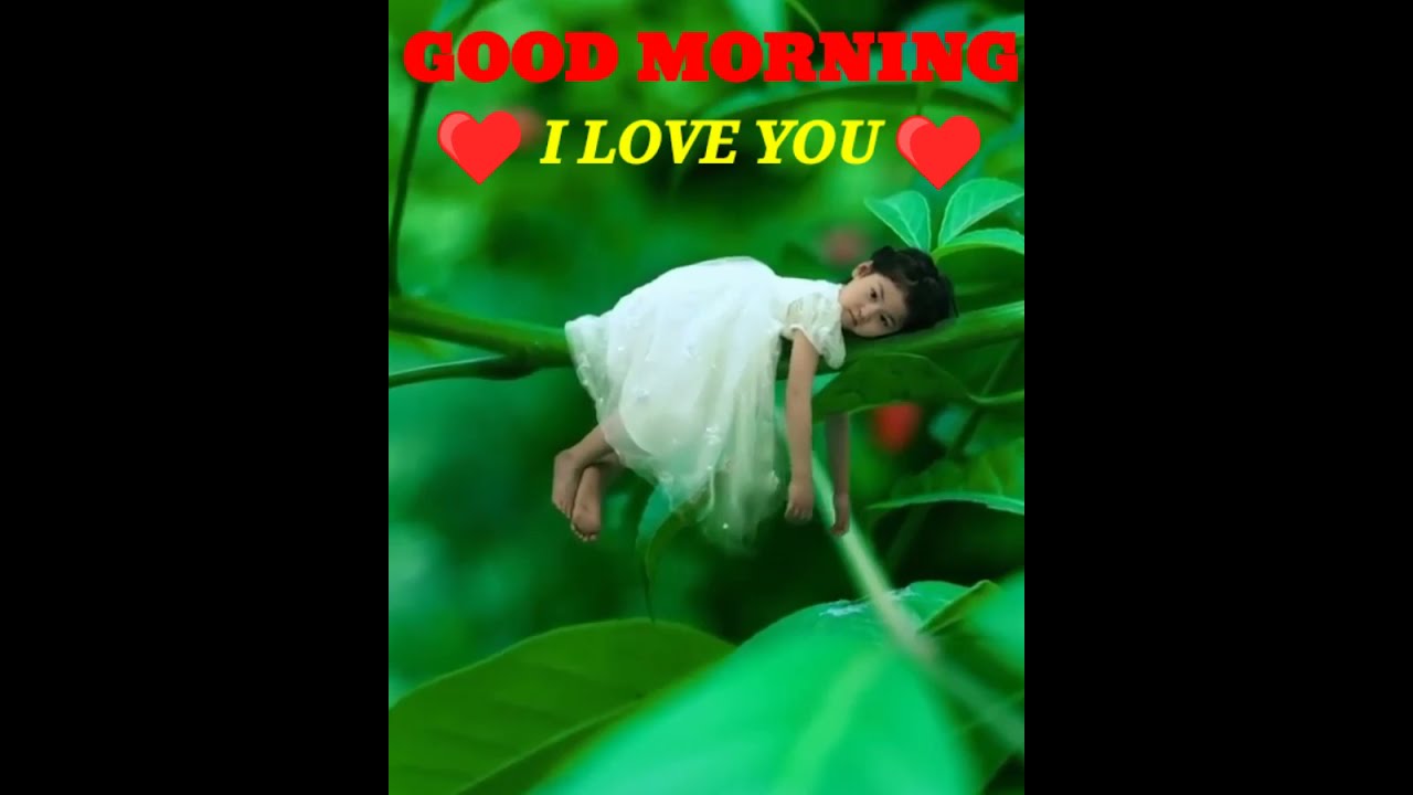  vidyasagar63 goodmorningvideo whatsappMorning Video  