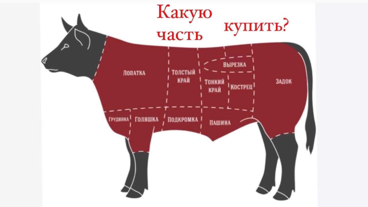 говяжья лопатка