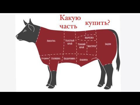 Видео: Где лучшие куски говядины?