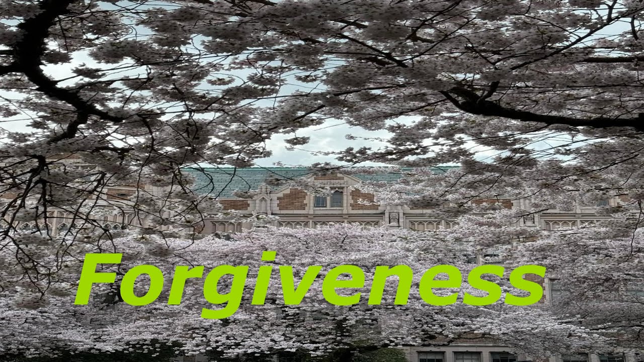 Meditation on forgiveness letting go of anger and resentment April 12 ...