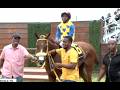 JAMAICA RACING: Cryptogirl Takes Sat, May 23, 2026, 6th