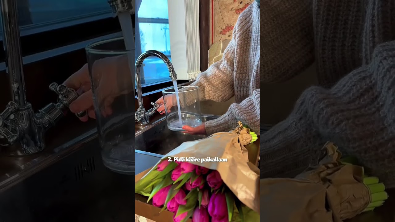 Näin tulppaanit kukkii maljakossa pidempään - Biolan #biolan #tulppaani