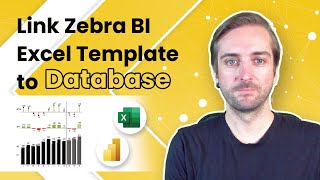 Link Zebra BI Excel Template to Database