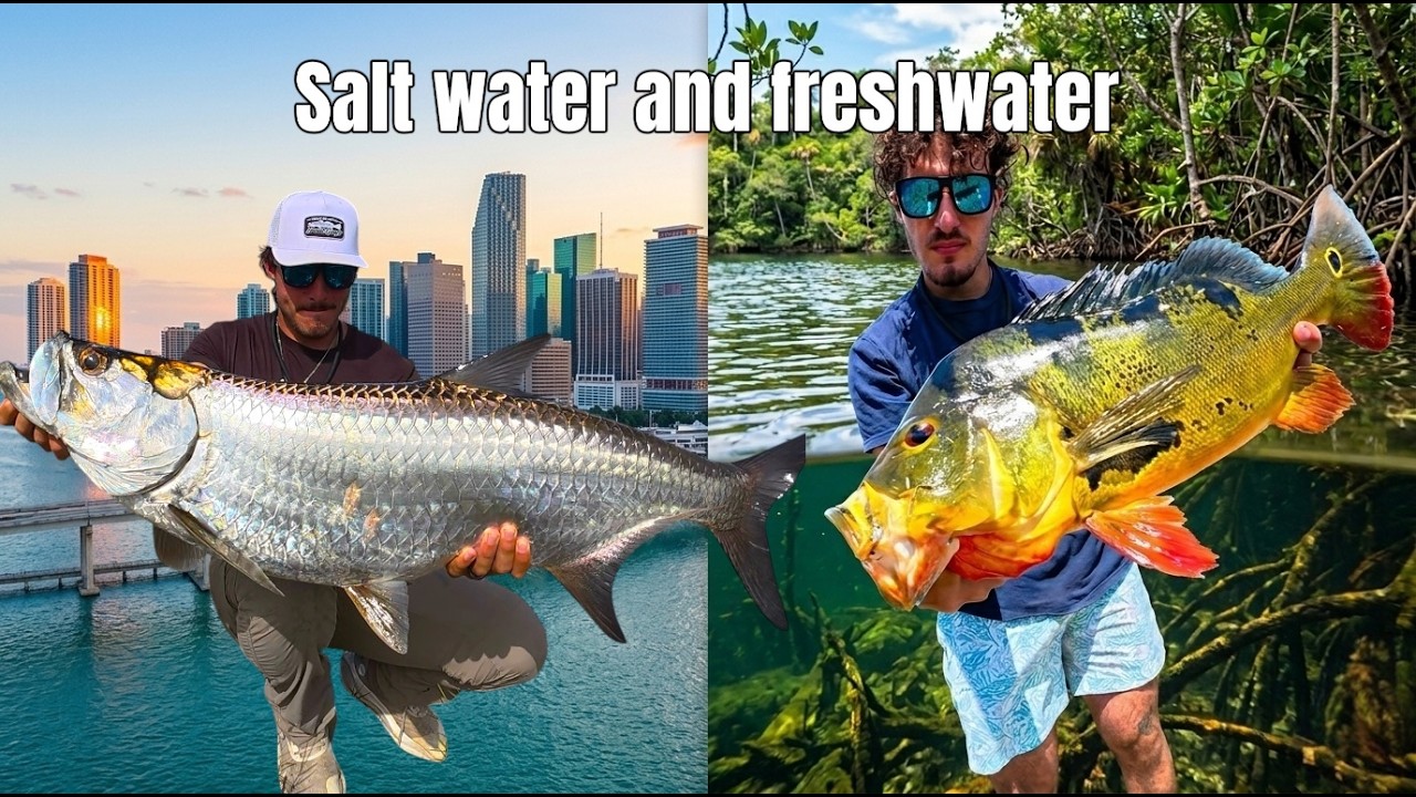 3 Days fishing URBAN Miami in saltwater and freshwater