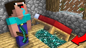 Minecraft NOOB vs PRO : NOOB OPEN THIS HOUSE AND FOUND DIAMONDS UNDER BED! (Animation)