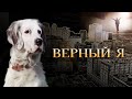 &quot;Верный я&quot; – Егор и Наталия Лансере - о &quot;правильности&quot;, верности и свободе - видеопоэзия