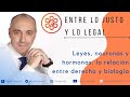 Leyes, neuronas y hormonas: la relación entre derecho y biología