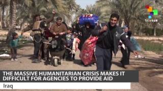 Displacement in Iraq Exceeds 3 Million