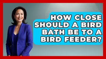 How Close Should A Bird Bath Be To A Bird Feeder? - Bird Watching Diaries