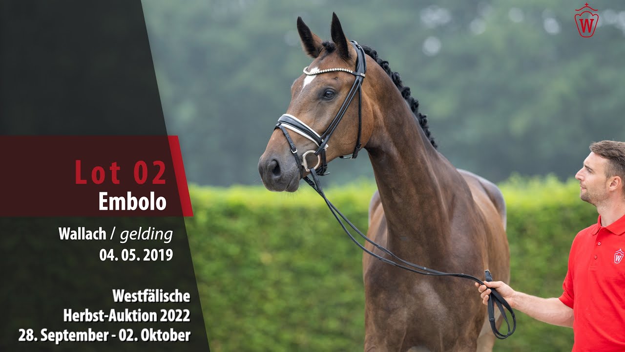 Ventes du Westphalien : un fils d'Escamillo vendu 590.000€