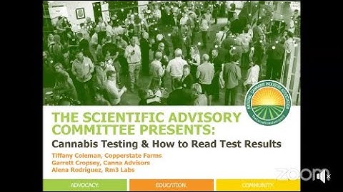 WEBINAR: Cannabis Testing & How To Read Test Results!