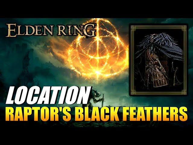 Raptor's Black Feathers