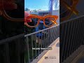 Transitions Gen S adaptive eyewear! 😎✨ #liberatedeyewear #smartlens #eyewear