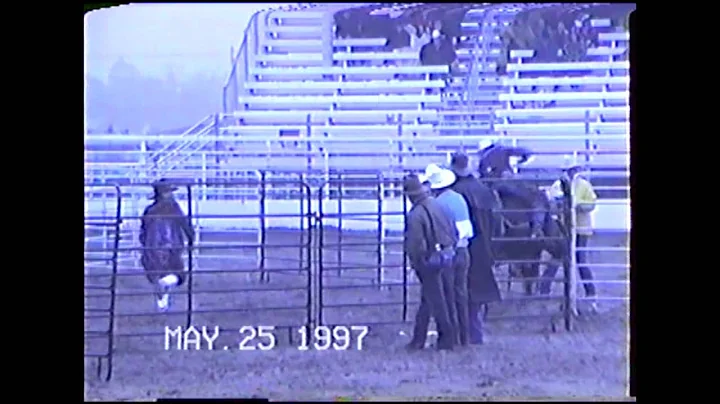 Chad Harper Rodeo Highlight
