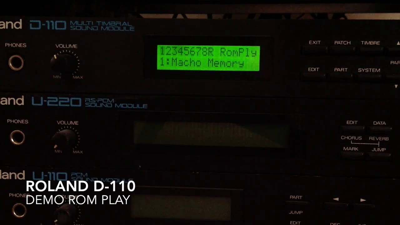 Roland D-110 MIDI音源 Roland・ローランド MIDI 音源モジュール 「D