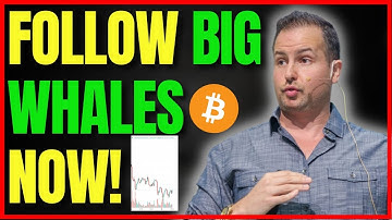 "Bitcoin Is Playing Out Exactly Like Gareth Soloway Predicted" Crypto Interview