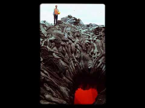 Black Replica — Black Replica - Spiderweb Symmetry