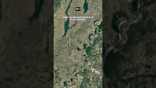 Animals Sense Disaster Before We Do - Part 6! #animals #wildlife #tsunami #earth #nature #facts