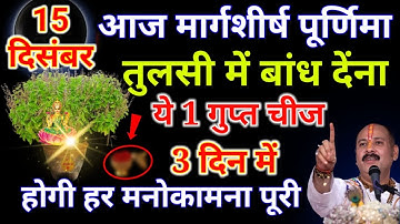 आज 15 दिसंबर मार्गशीर्ष पूर्णिमा तुलसी के नीचे बांध देना ये 1 गुप्त चीज// pradeep ji Mishra