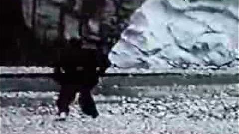 Leopard Form Kung Fu - Lin Jia Kun