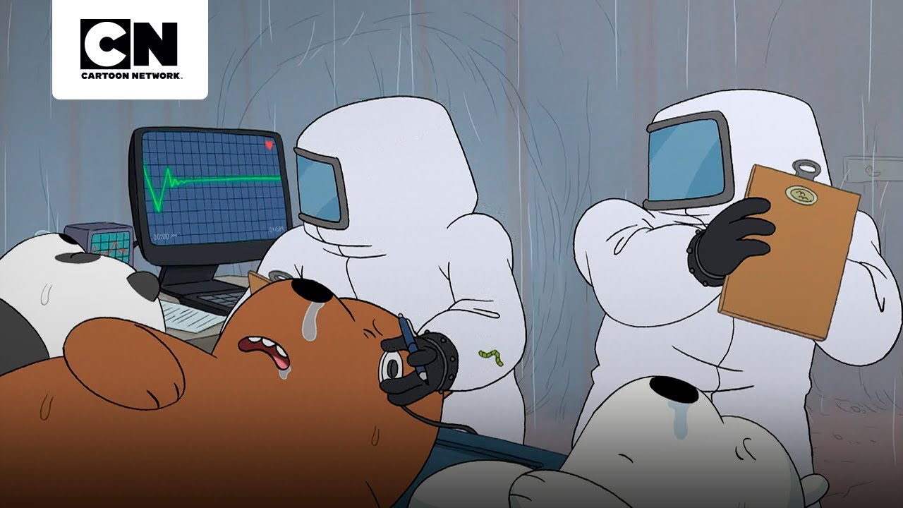 UMA GRIPE DOS URSOS PASSA A SER UMA PANDEMIA MUNDIAL | URSOS SEM CURSO | CARTOON NETWORK
