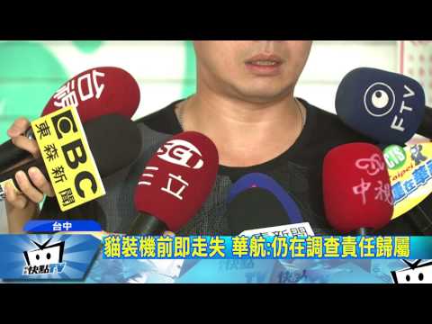 20170810中天新聞　愛貓託運遭輾斃　華航遭控訴「只賠3千」