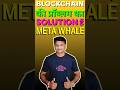 Meta Whale Blockchain की Problem का Solution #metawhaleupdate #metaforce #bitcoin #ces #teamyay