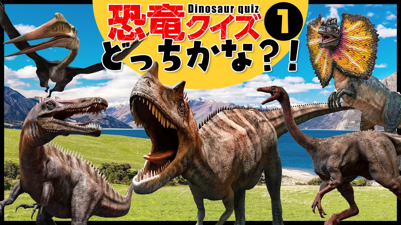 恐竜クイズ どっちかな 名前を聞いてどっちの恐竜か当てよう アンキロサウルス アロサウルス トリケラトプス プテラノドン Youtube