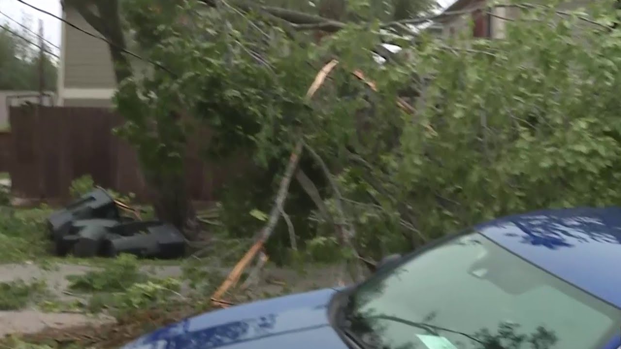 Fallen trees, fences and massive power outages in Houston Heights due ...