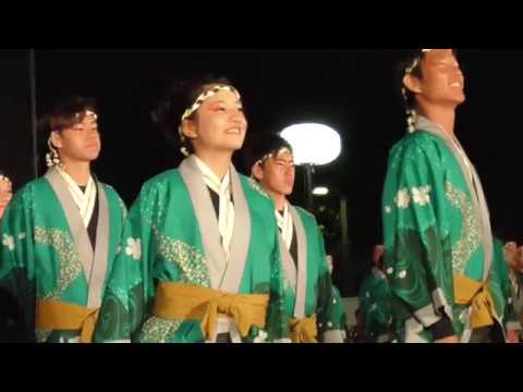 同志社大学　心粋【澄晴】　どまつり20190823　ぐるめぱーく