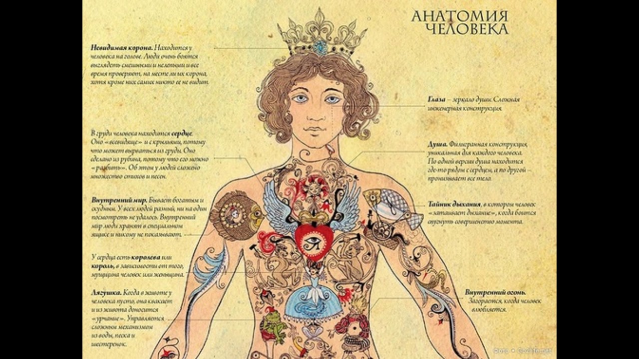 Какие лица какие души. Анатомия человека. Анатомия человека в картинках. Тело человека анатомия. Анатомическая карта тела человека.