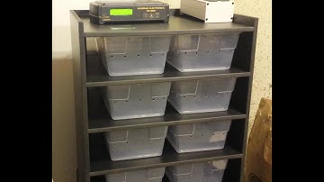 New hatchling rack I made