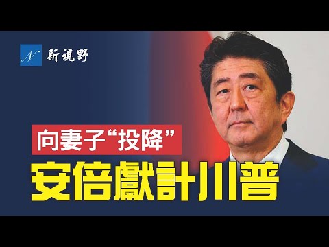 川总的知音，习近平的克星，台湾的朋友。安倍的三大政绩与最大遗憾。安倍与拜登、奥巴马不同调，说服川总围堵中共。面对左派妻子，安倍的夫妻相处之道。