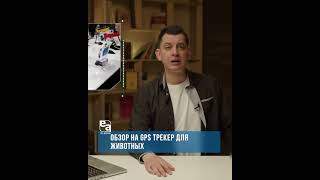 🦮Обзор На Gps Трекер Для Животных