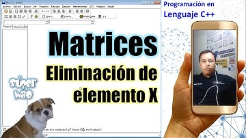 Matrices en Dev C++ - Eliminación de Elemento X