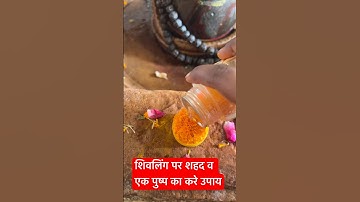 शिवलिंग पर शहद व पुष्प का क्या महत्व है #motivation #panditpradeepmishrakeupay #upay #mahadev #short