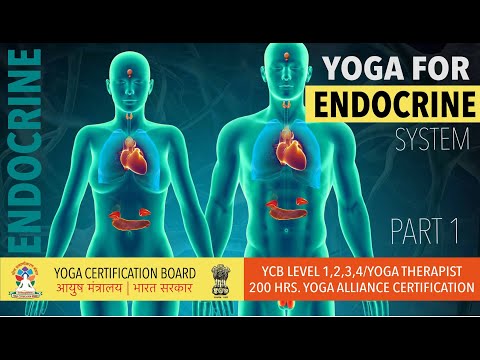 Yoga for the Endocrine System | The Endocrine System | Asana Sequence  | Part 1 | YCB & Yoga Allianc