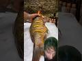 Camurda Balik - Cooking Fish in Mud #cooking #food #fishing #fishcooking #saltylife