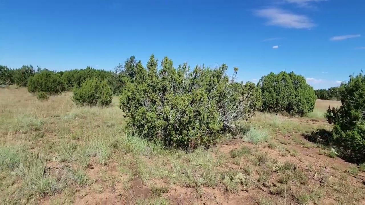 SOLD - 1.2 Acres - RV Friendly! In Vernon, Apache County AZ.