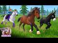 CAVALOS RAROS: ENCONTREI O MORGAN E A VÓ DO SPIRIT?! | Wild Horse Islands