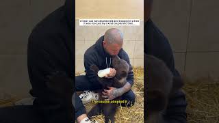 Rescue a bear cub #lovestory #rescue #wildliferescue #animals #cute #wildlife #animalrescue#bear
