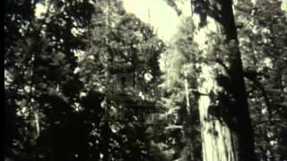 Amateur home movies. Tour of the U.S.A, 1930's -- Film 15360